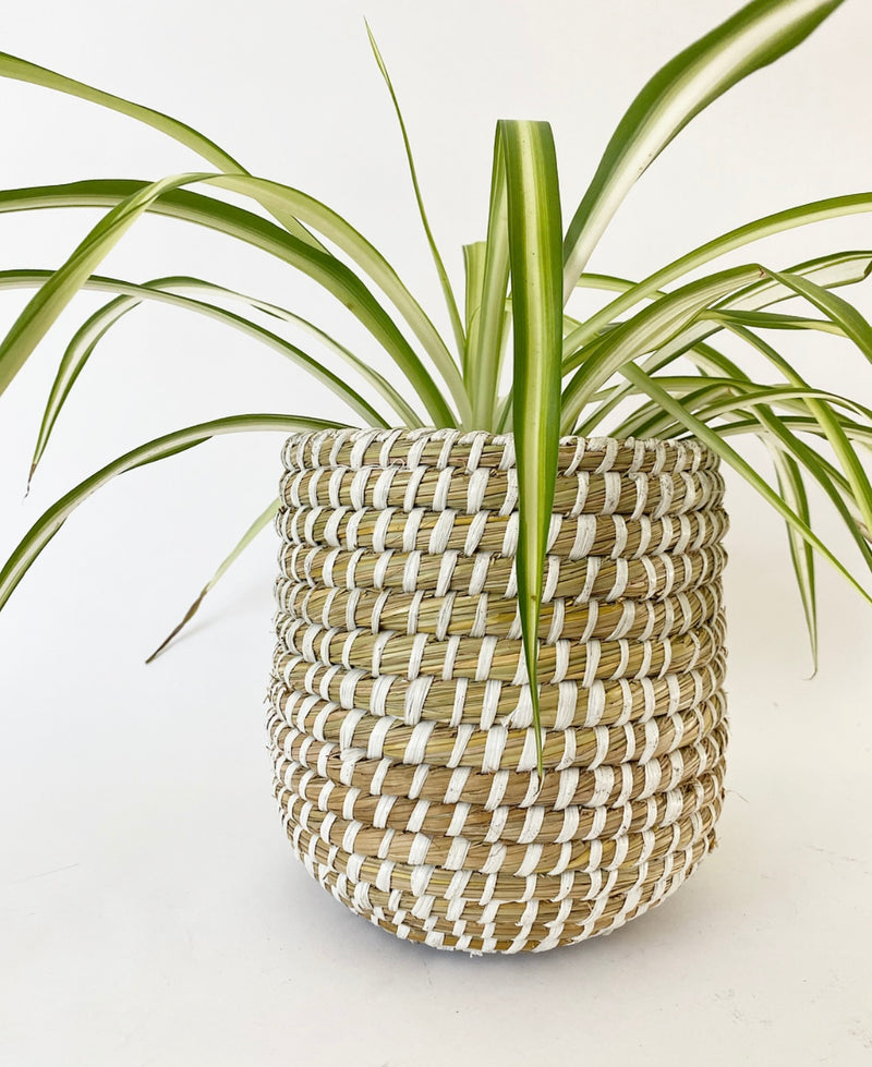 Tejida Basket Planter