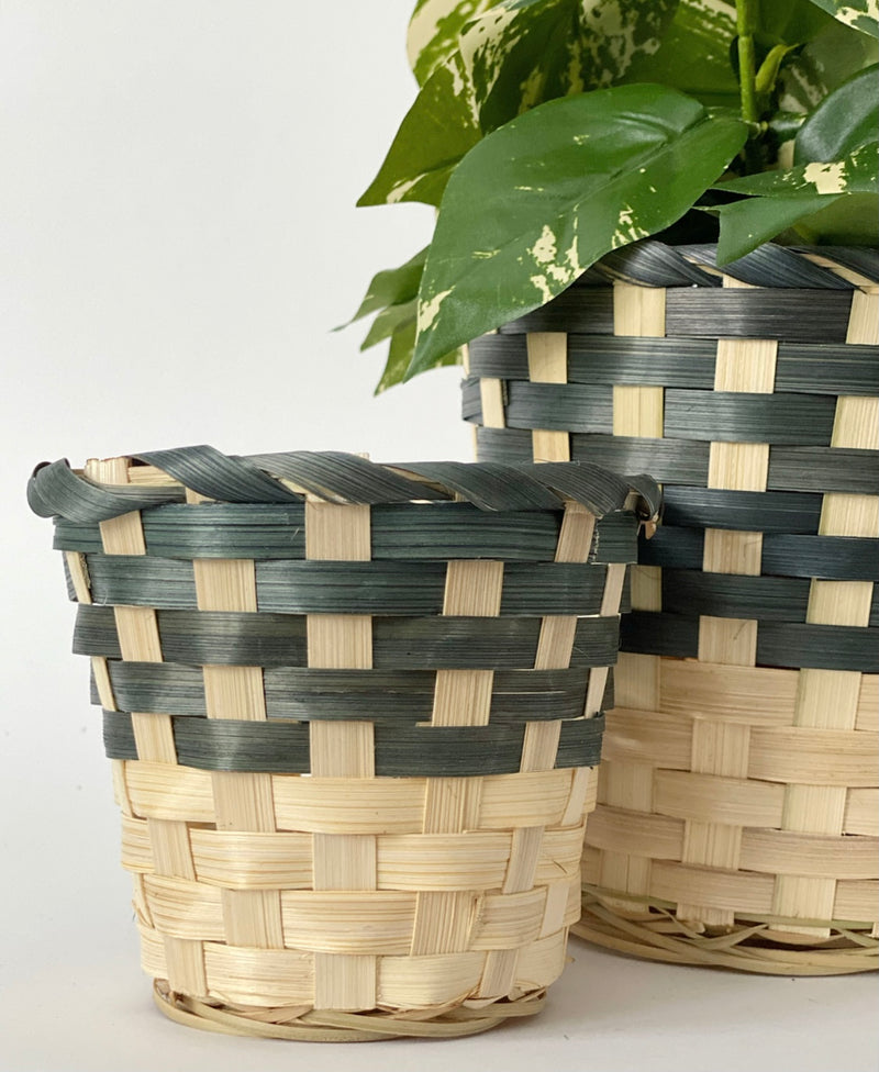 Marcus Plant Baskets