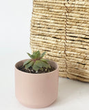 Kendall Pink Pot Collection