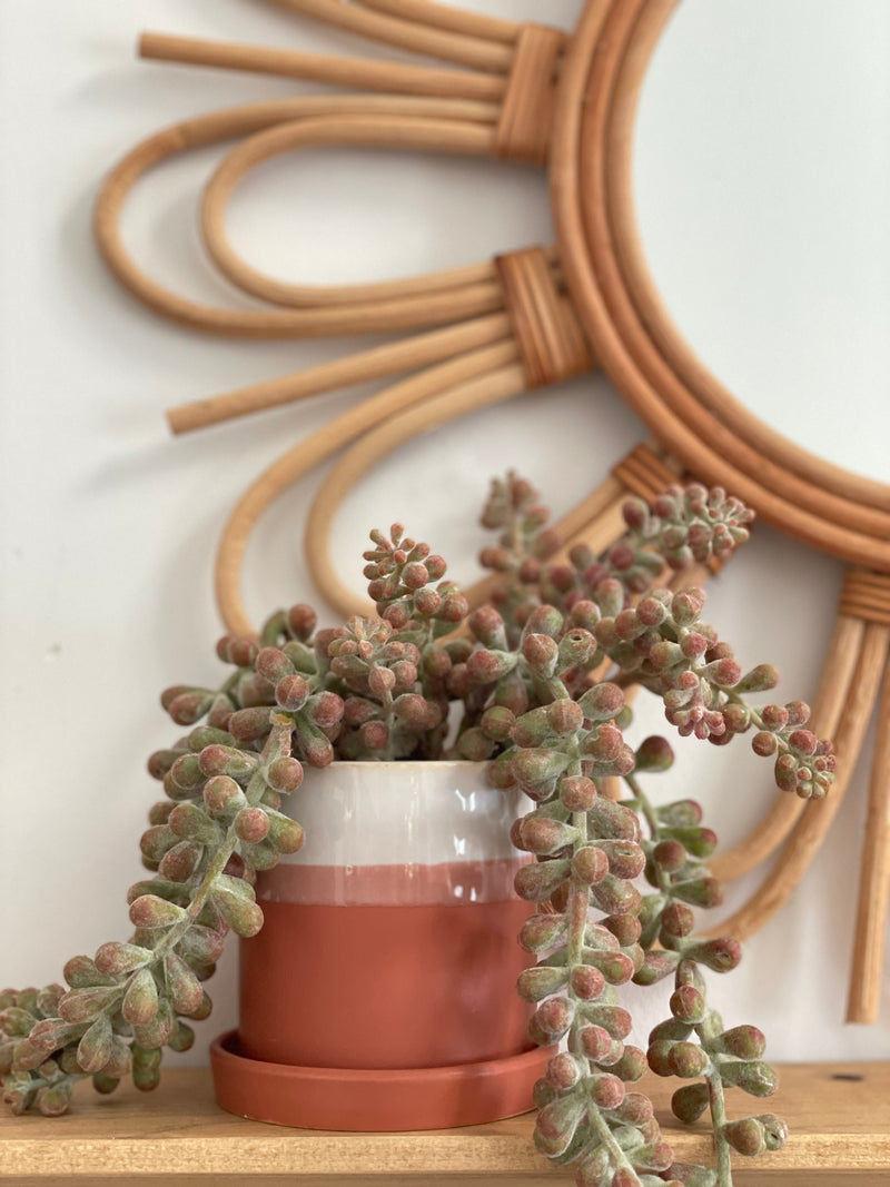 Faux String of Pearls