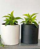 Cercle Plant Pot Collection