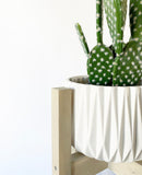 Adelaide Plant Pot