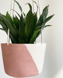 Hanging Plant Baskets