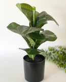 Faux Fiddle Leaf Fig