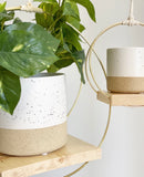 Sandstone Plant Pots