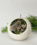 Pottery Pod Collection