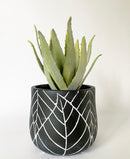 Embossed Leaf Pots