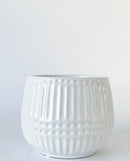Aurora Ribbed Plant Pot