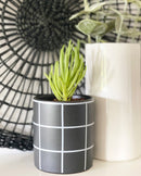 Pepper Plant Pot -Black