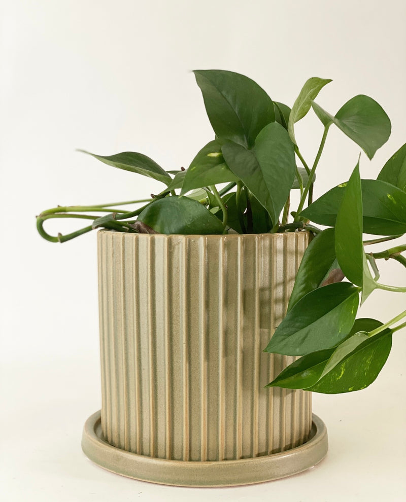 Remi Plant Pot -Green