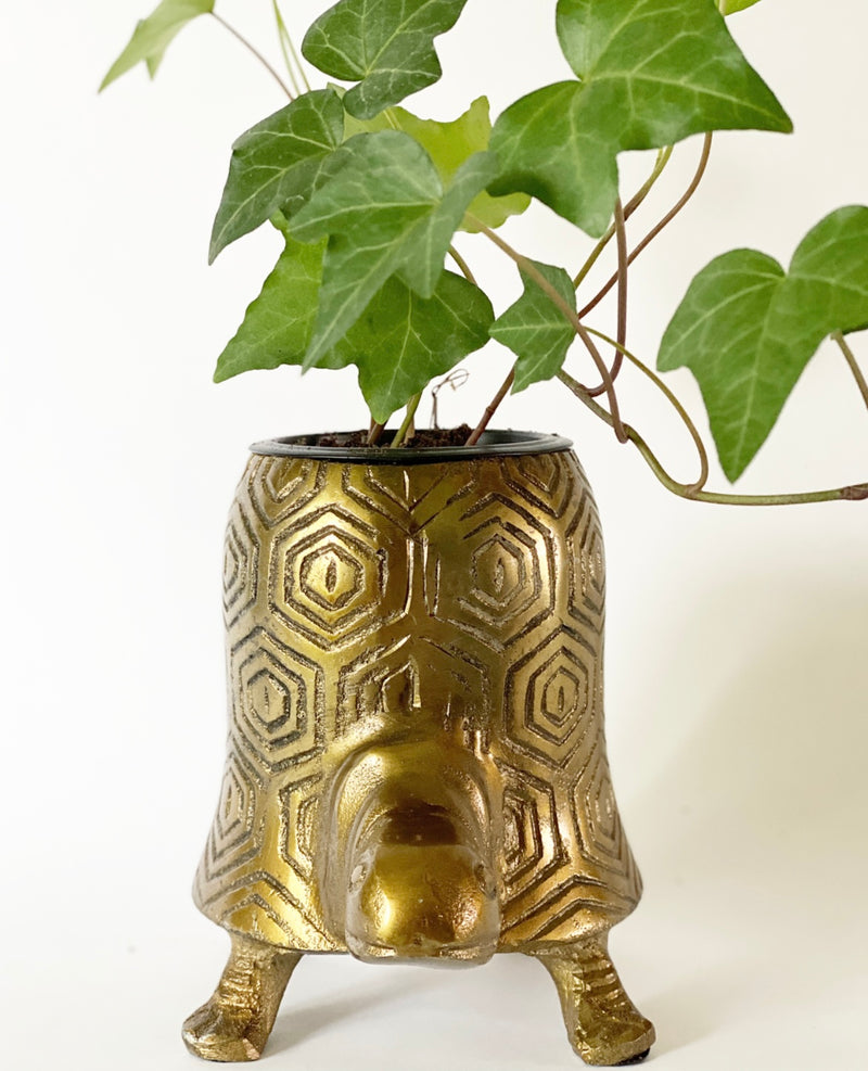 Tammy Turtle Planter