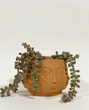Mirage Plant Pot