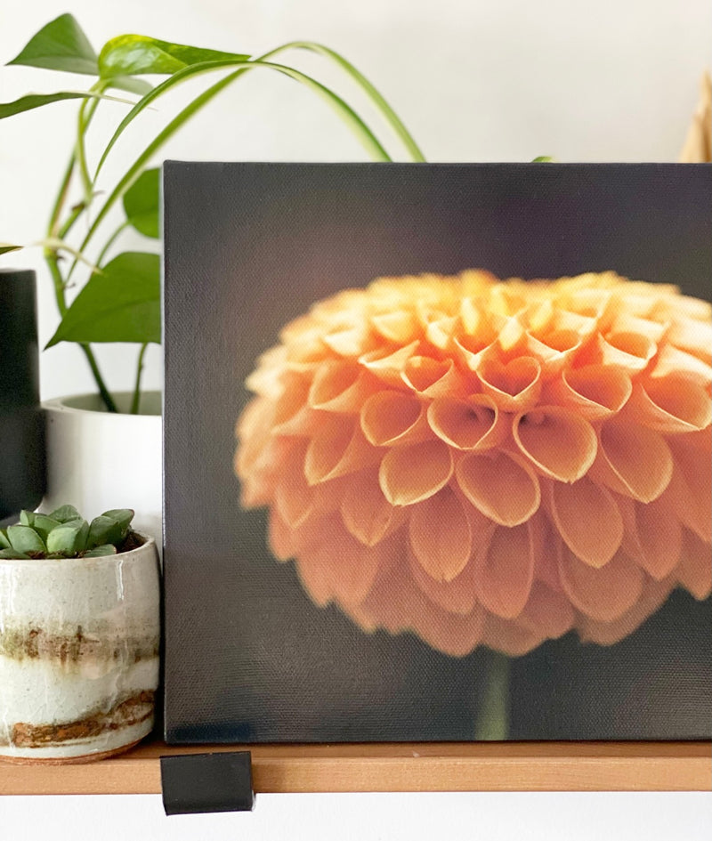 Angel Anderson Floral Canvas Print