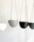 File Hanging Pots