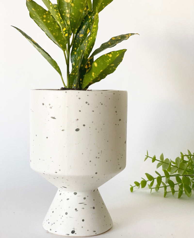 Speckled Plant Pot