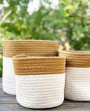 Mushroom Baskets