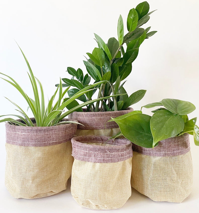 S/4 Plant Baskets -Pink