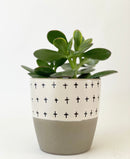 Dottie Mug and Plant Pot Collection