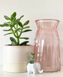 Colourful Flower Vases