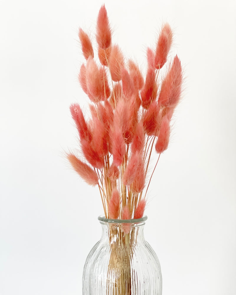 Bunny Tail Bunches -Pink