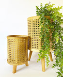 Bamboo Planters