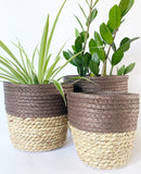 Natural Grass Lined Baskets