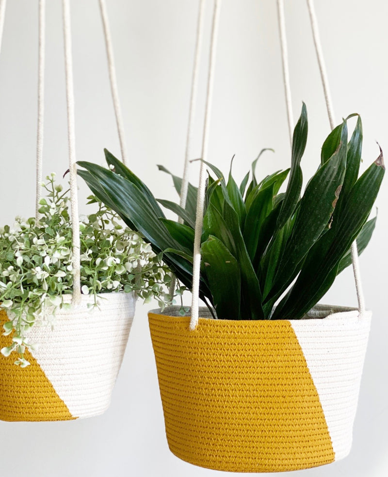 Hanging Plant Baskets