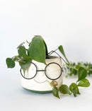 Specs Plant Pots