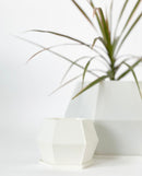 Sijo Plant Pots -Pearl White
