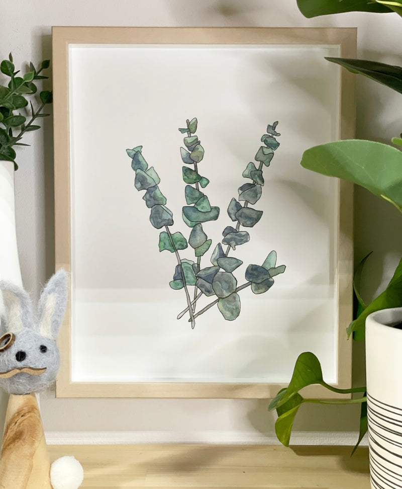 Eucalyptus Bunch Art Print