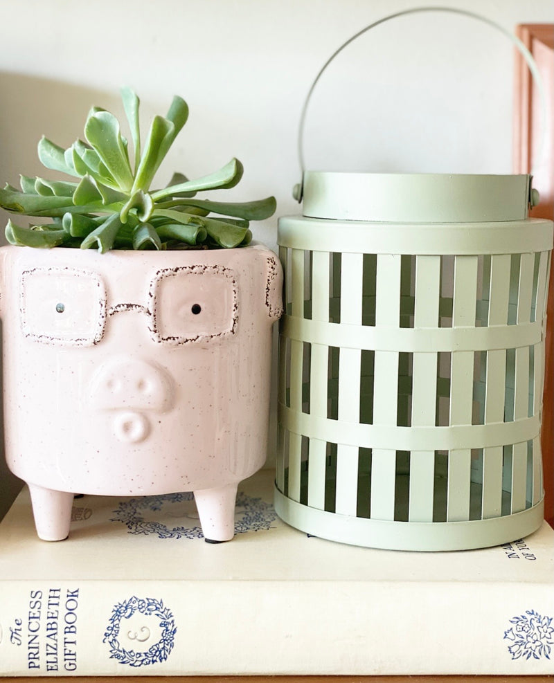 Piggy Plant Pot