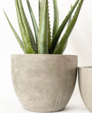 Concrete Newport Collection