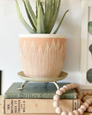 Amazon Plant Pot -Light Pink