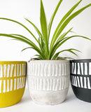 Millie Plant Pots