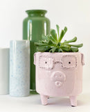 Piggy Plant Pot