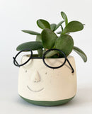 Specs Plant Pots
