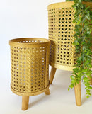 Bamboo Planters