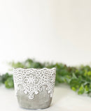 Lace Plant Pot