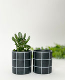 Pepper Plant Pot -Black