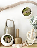 Pottery Pod Collection