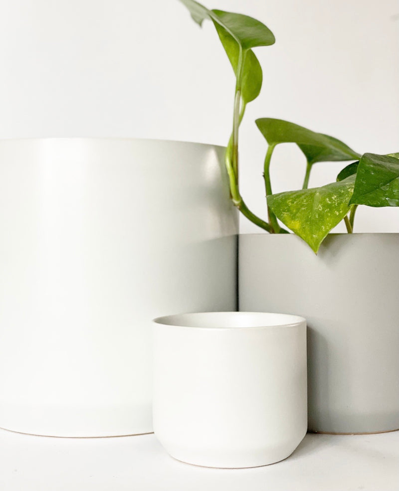Kendall White Pot Collection