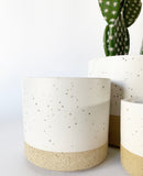 Sandstone Plant Pots