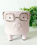 Piggy Plant Pot
