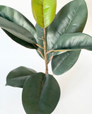 Potted Faux Ficus