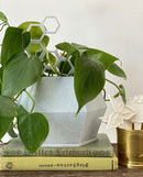 Sijo Plant Pot -Grey