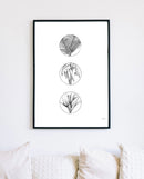 Flora + Fauna Series KSP