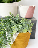 Hanging Plant Baskets
