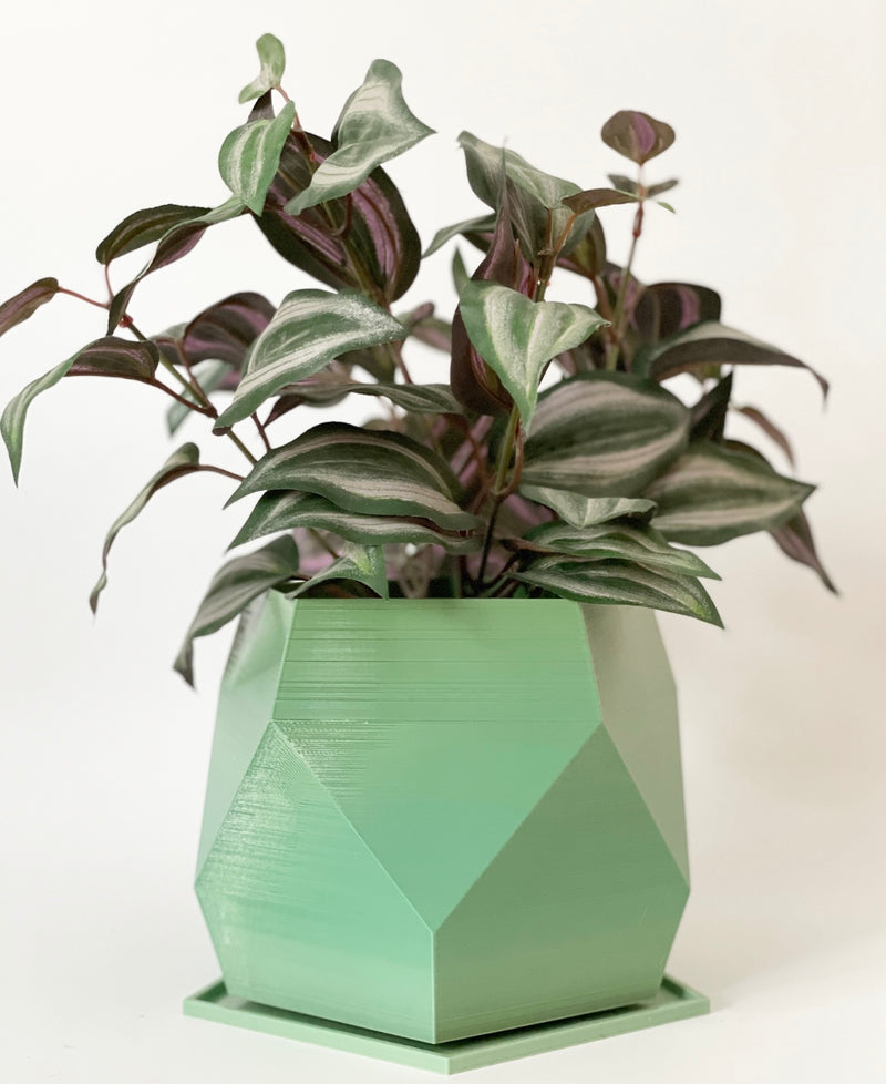 Sijo Plant Pots -Green