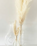 Natural Cream Pampas Grasses