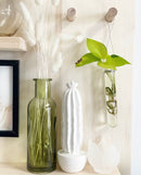 Hanging Propagation Vials